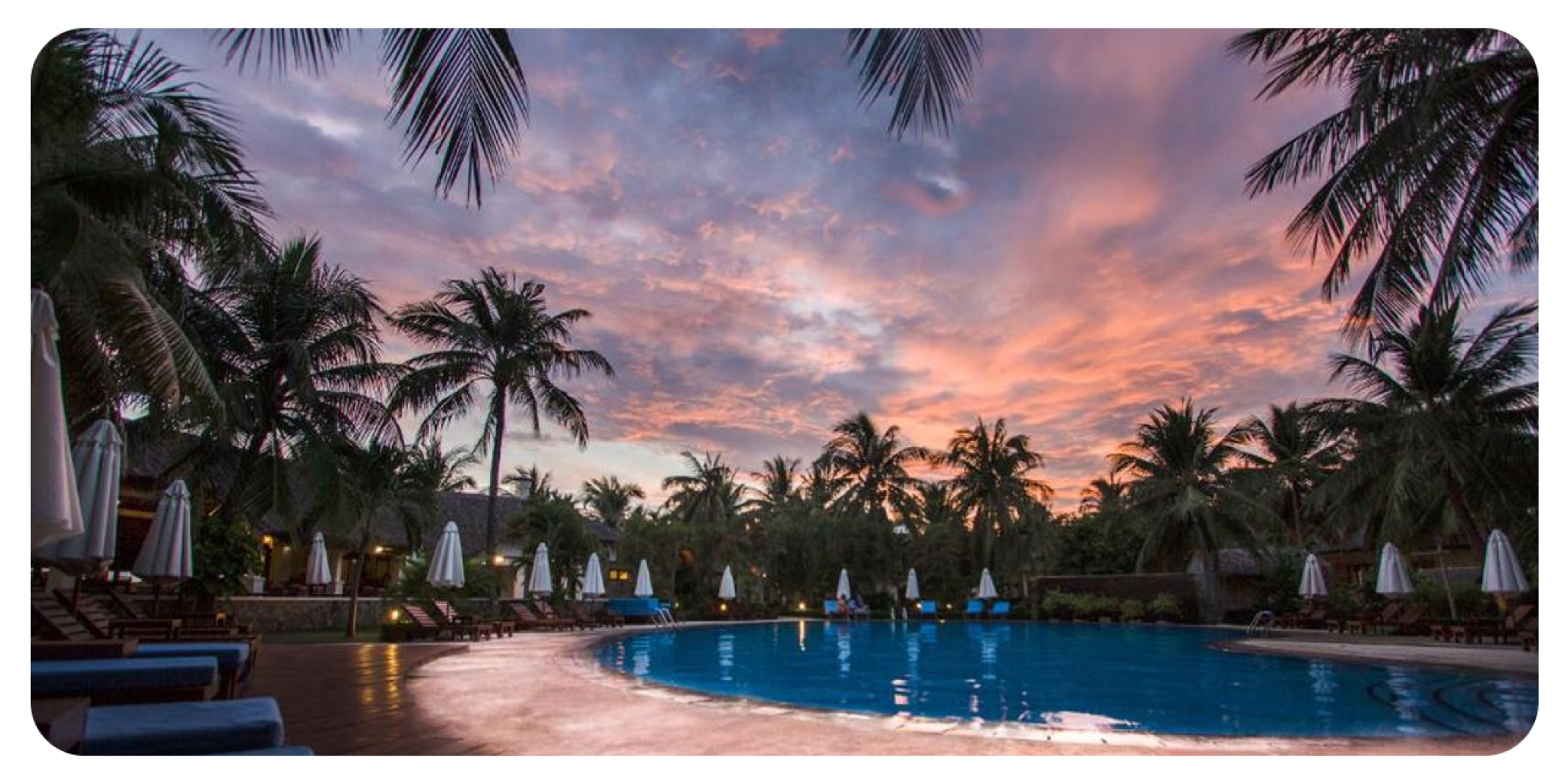 Hồ bơi ngoài trời giữa vườn dừa tại Blue Ocean Resort Mũi Né Hồ bơi ngoài trời của Blue Ocean Resort được bao quanh bởi ghế tắm nắng, ô trắng và hàng dừa, tạo không gian thư giãn yên bình sát biển