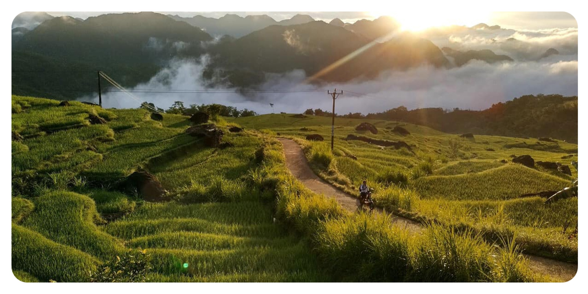 Khung cảnh ruộng bậc thang xanh mướt, con đường nhỏ uốn lượn giữa núi rừng và biển mây vào lúc bình minh tại Pù Luông.