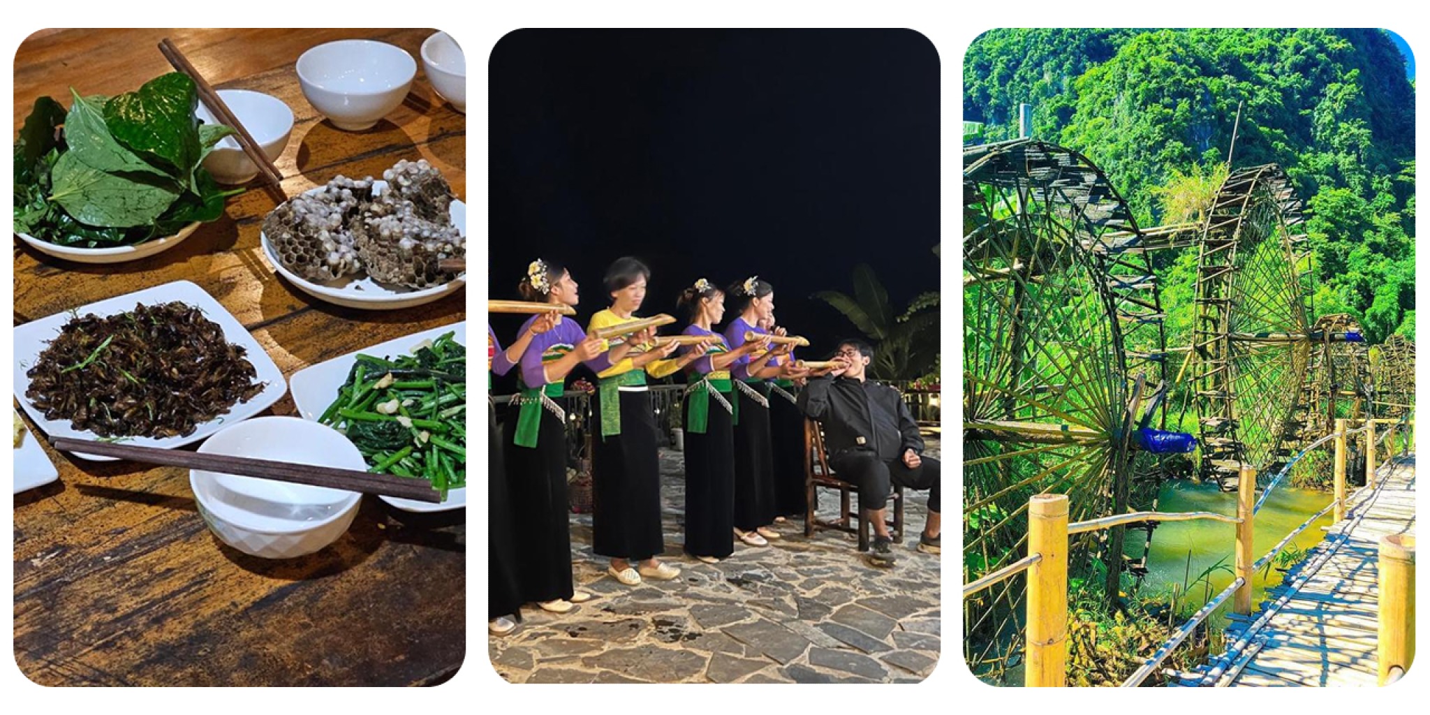 Bữa ăn với đặc sản địa phương, múa sạp giao lưu văn hóa dân tộc và khung cảnh guồng nước tre giữa thiên nhiên xanh mát – những trải nghiệm tiêu biểu dành cho du khách khi đến Pù Luông Serenity Lodge.